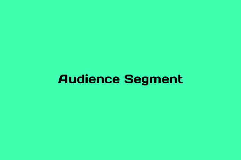 What is an Audience Segment