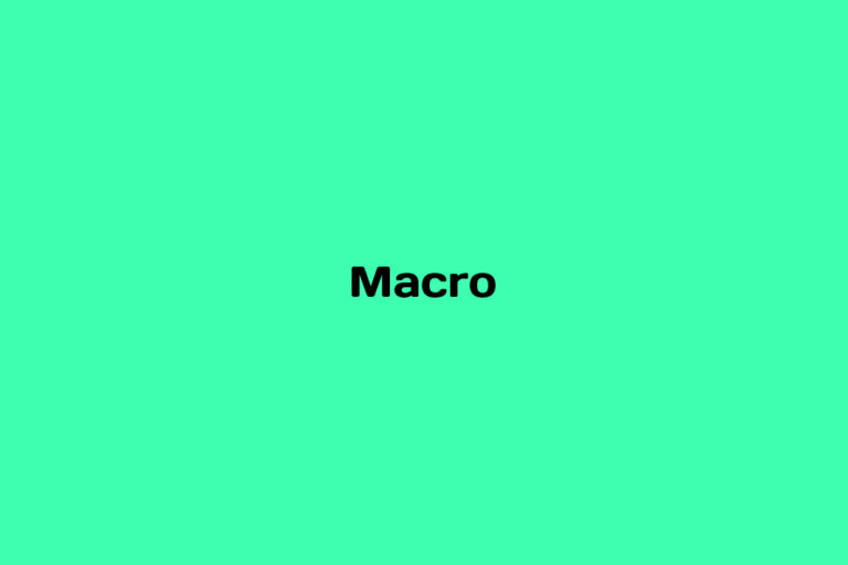 What is Macro